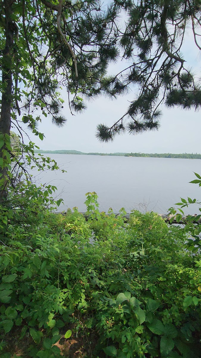 BWCA Campsite #1604