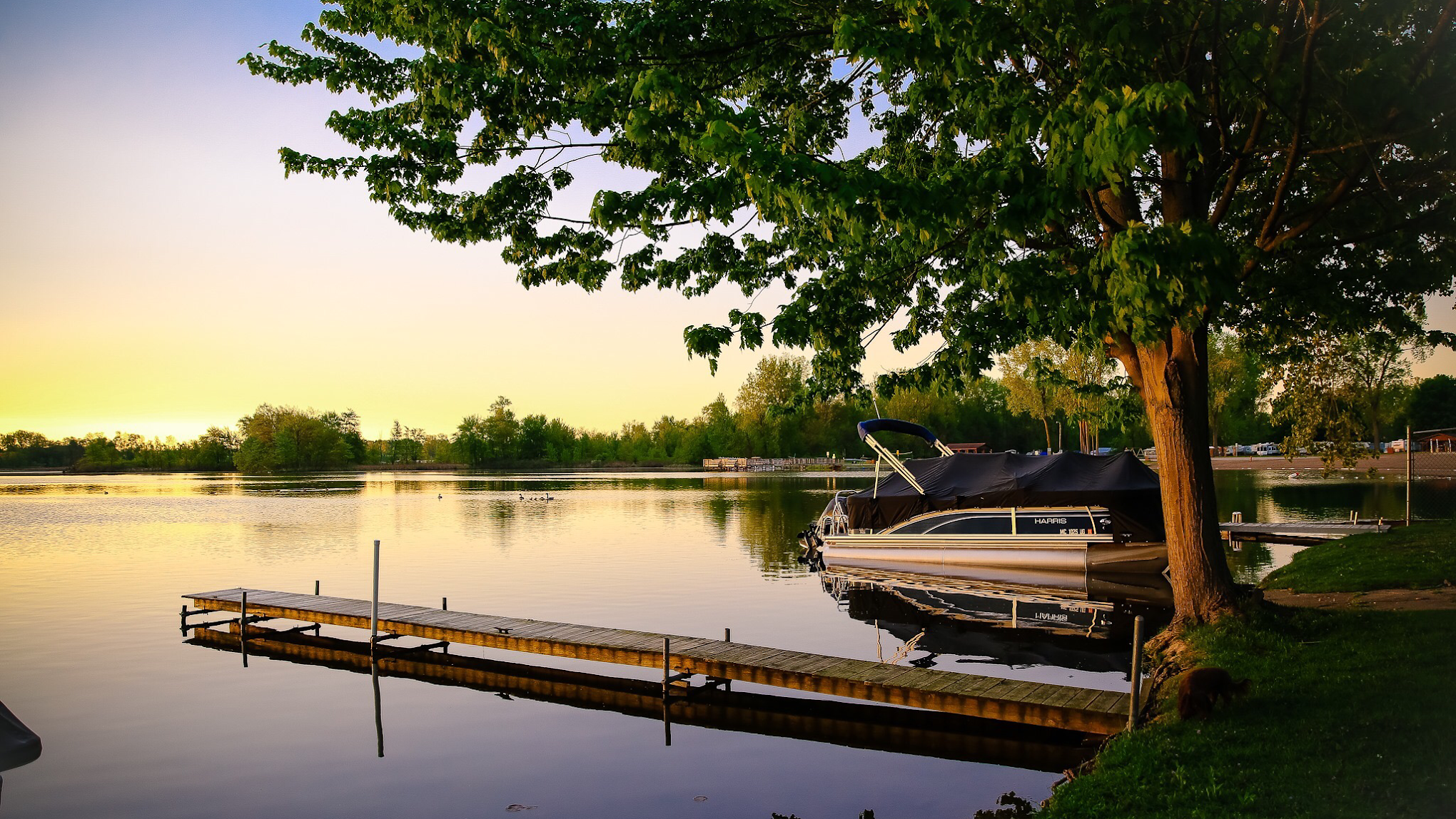 White's Place Campground