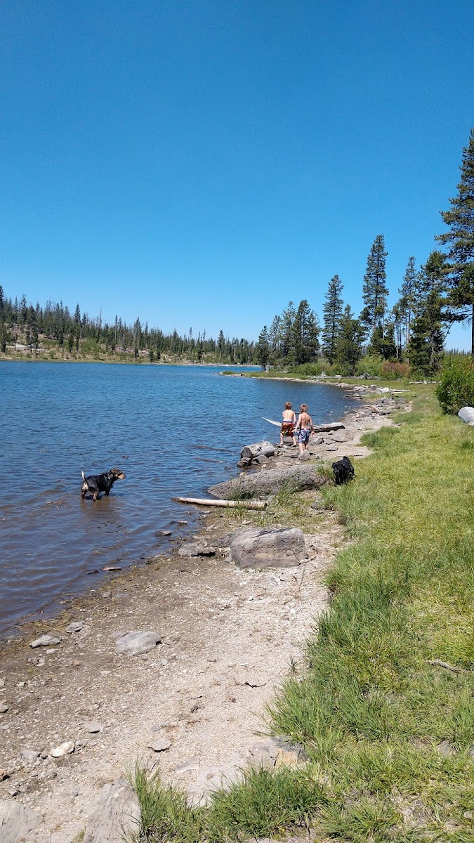 Deadhorse Lake Developed Campground