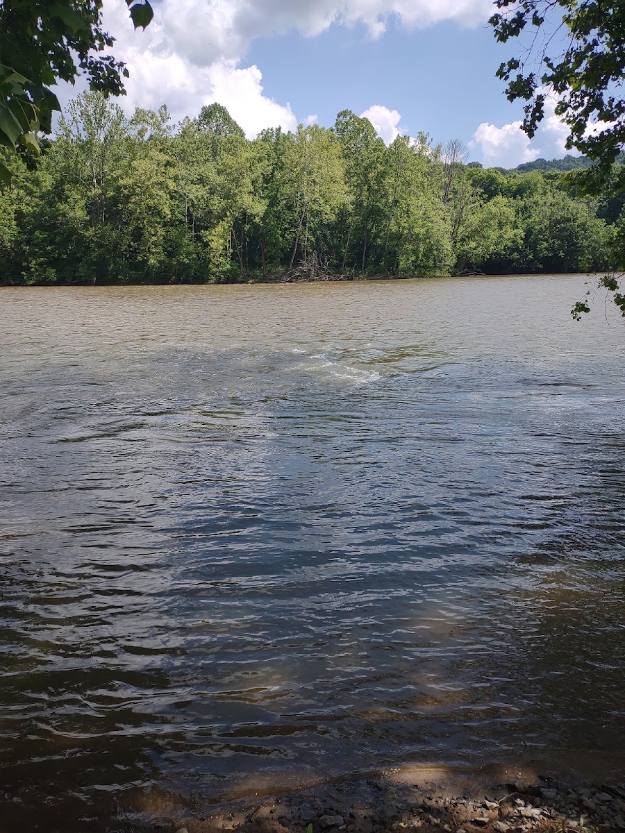 River Junction Campground and Canoeing
