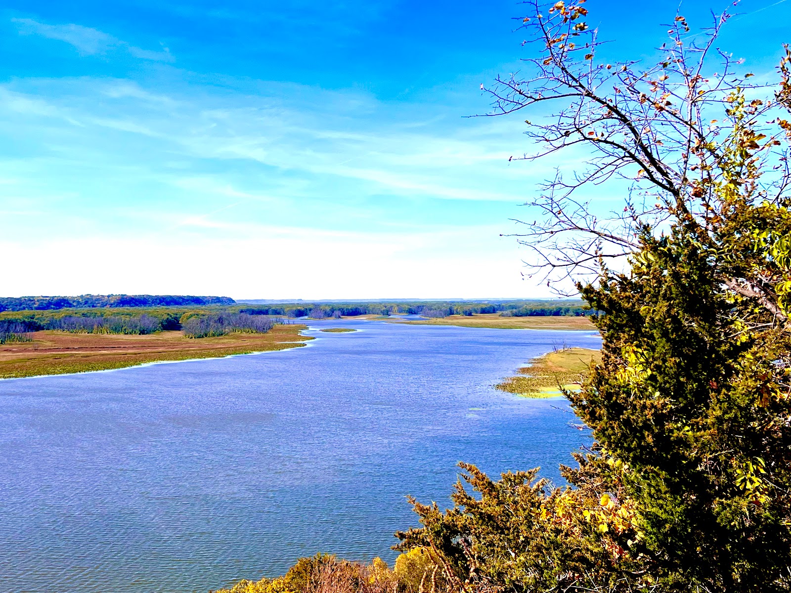 Mississippi Palisades State Park Campground