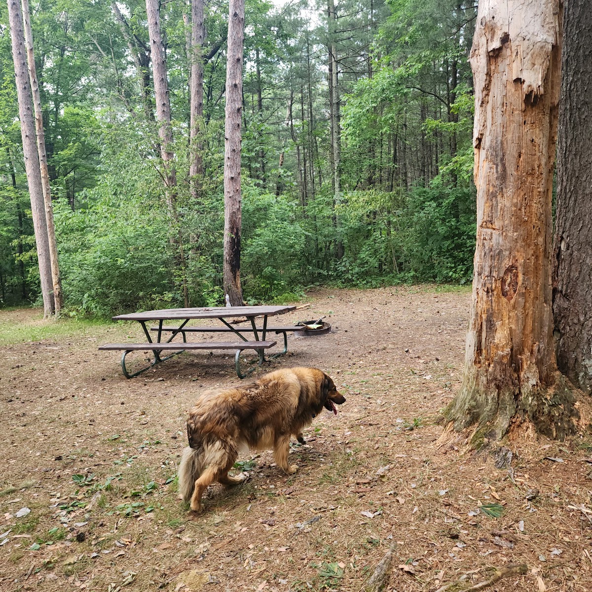 Sandrock Cliffs Campground
