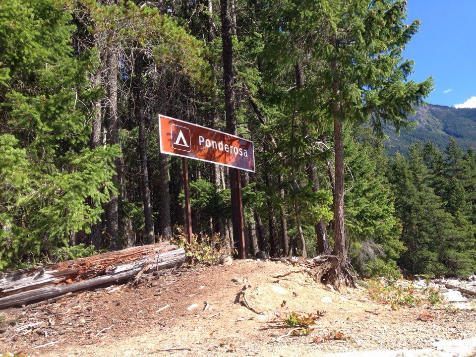 Ponderosa Campground