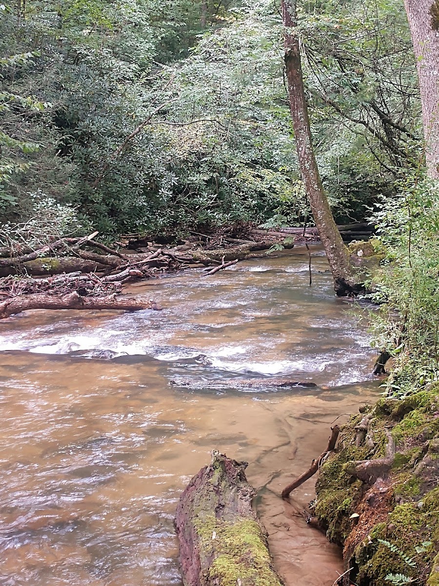 Frank Gross Recreation Area