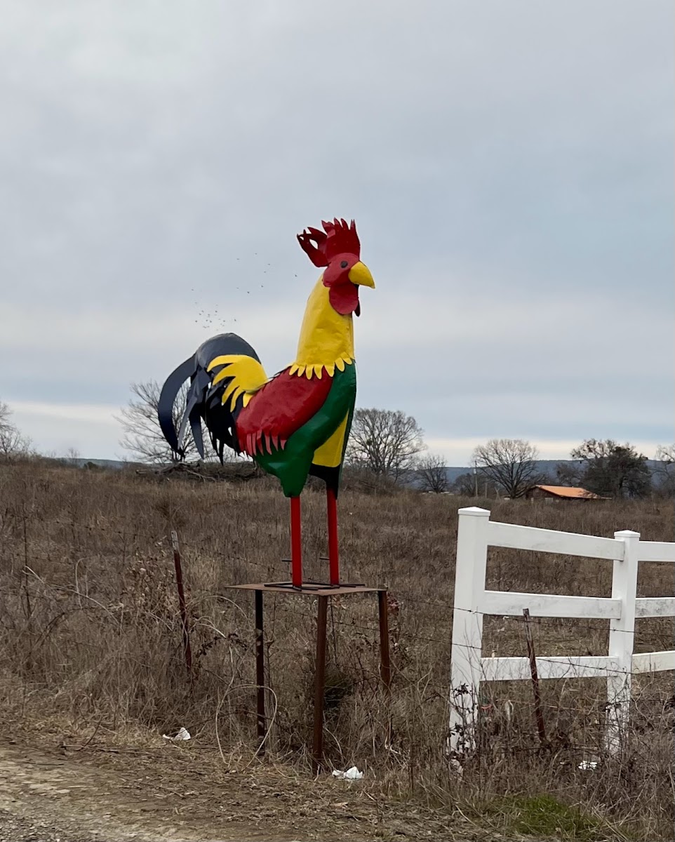 The Ugly Rooster RV Park & Cabins, LLC.