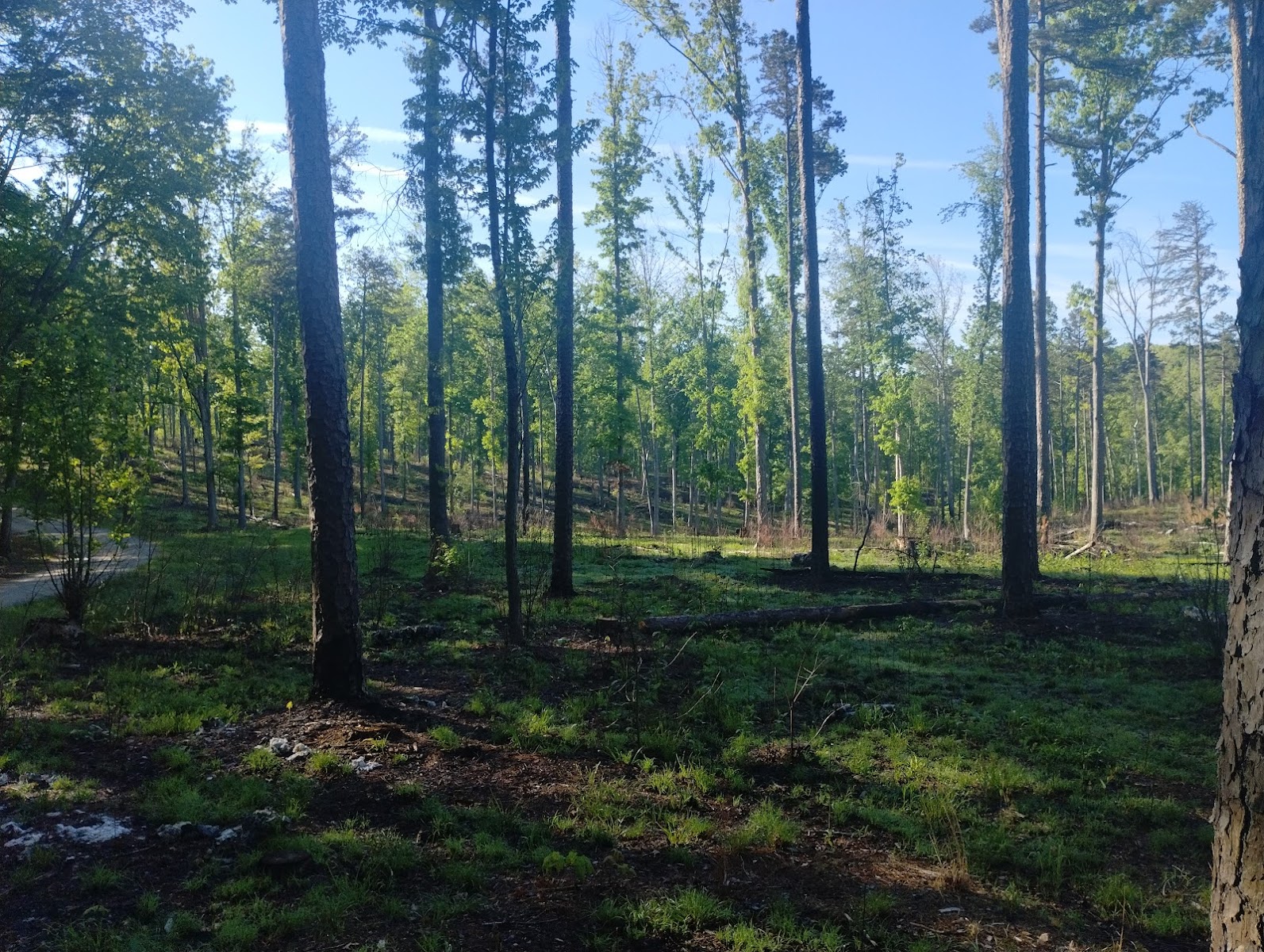 Caswell Gamelands Camping