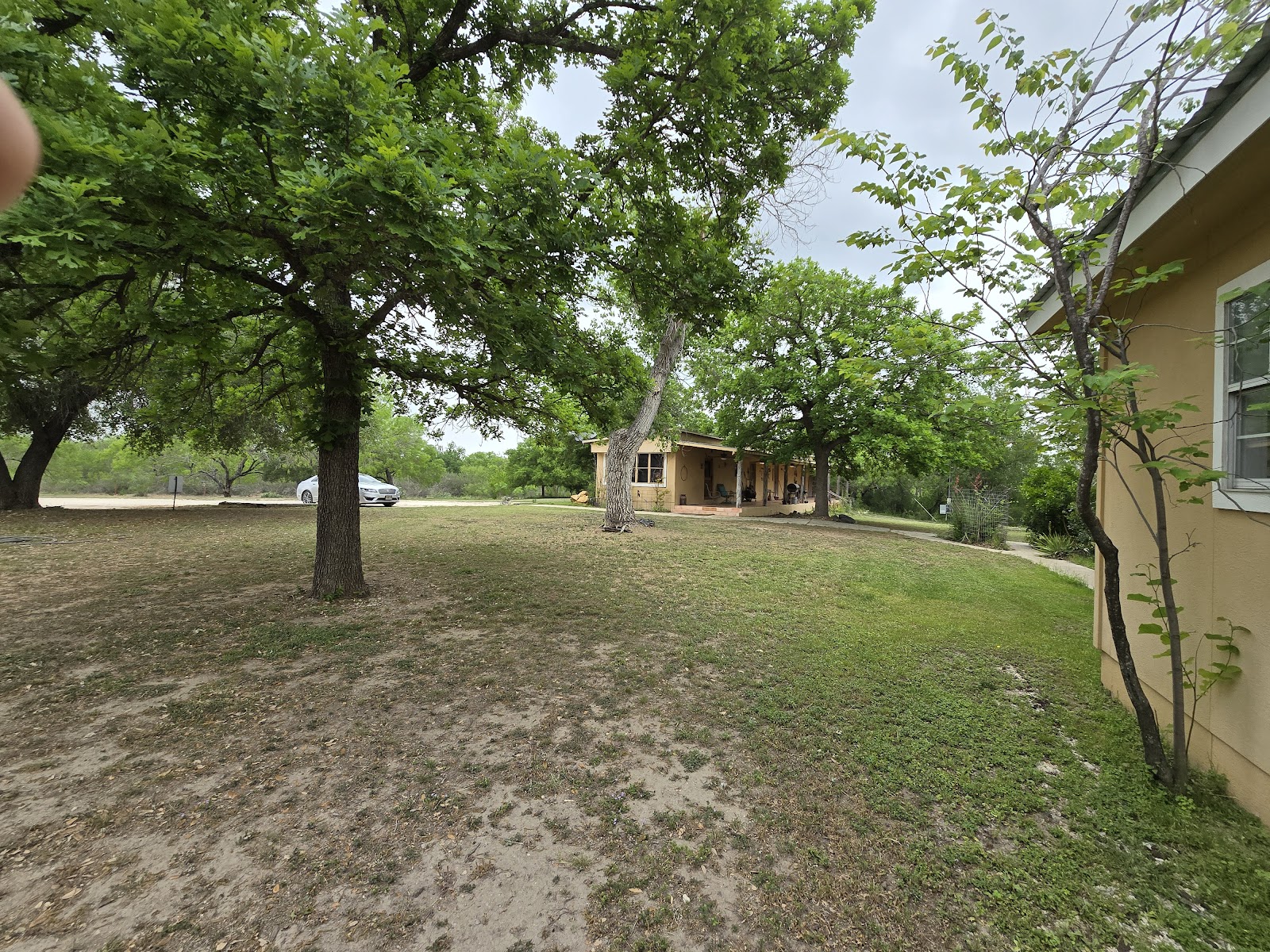 Spanish Dagger RV park