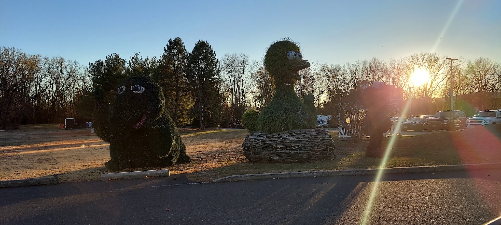 Picayune Strand State Forest Campground