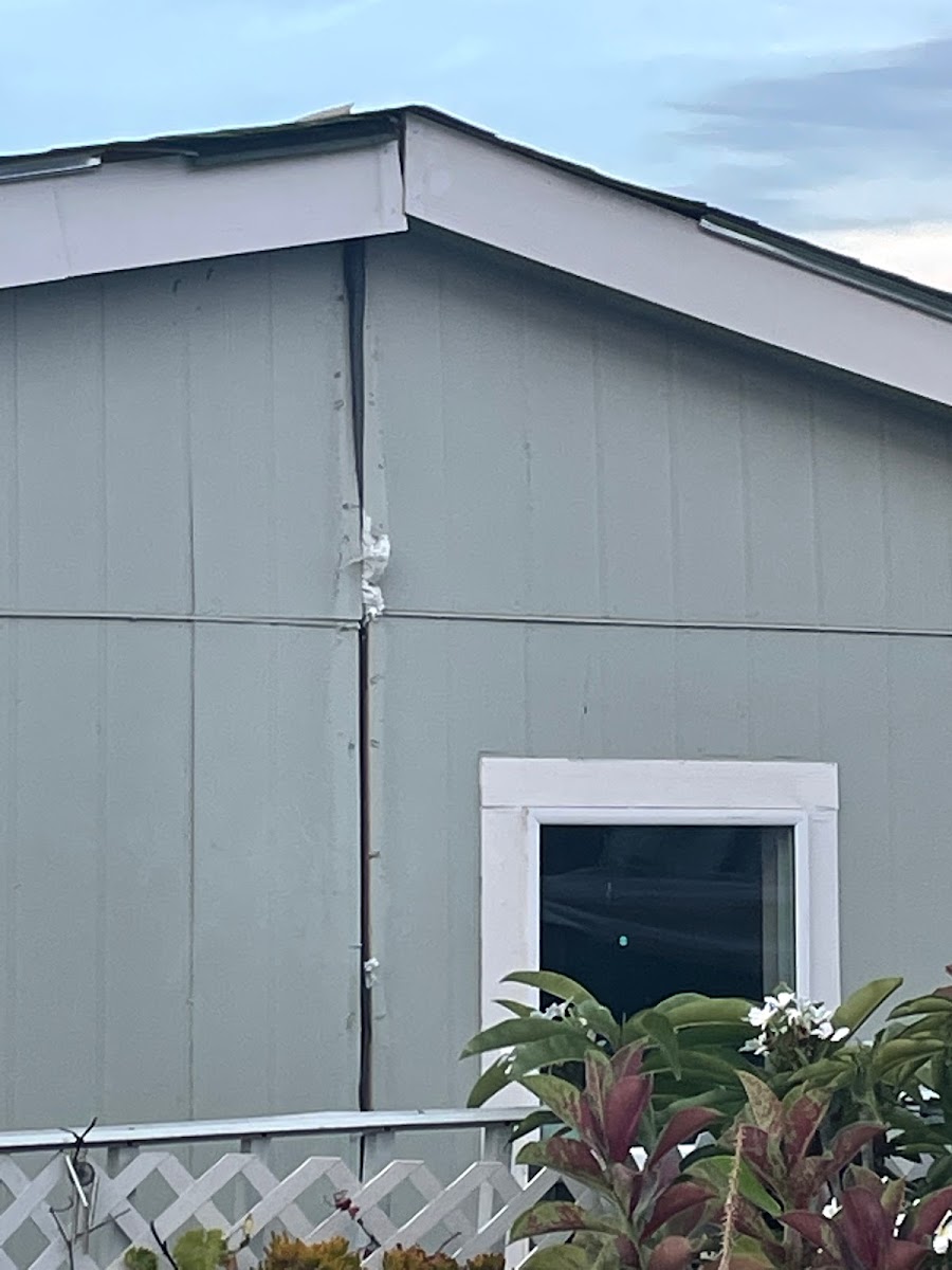 Western Skies Mobile Home Park