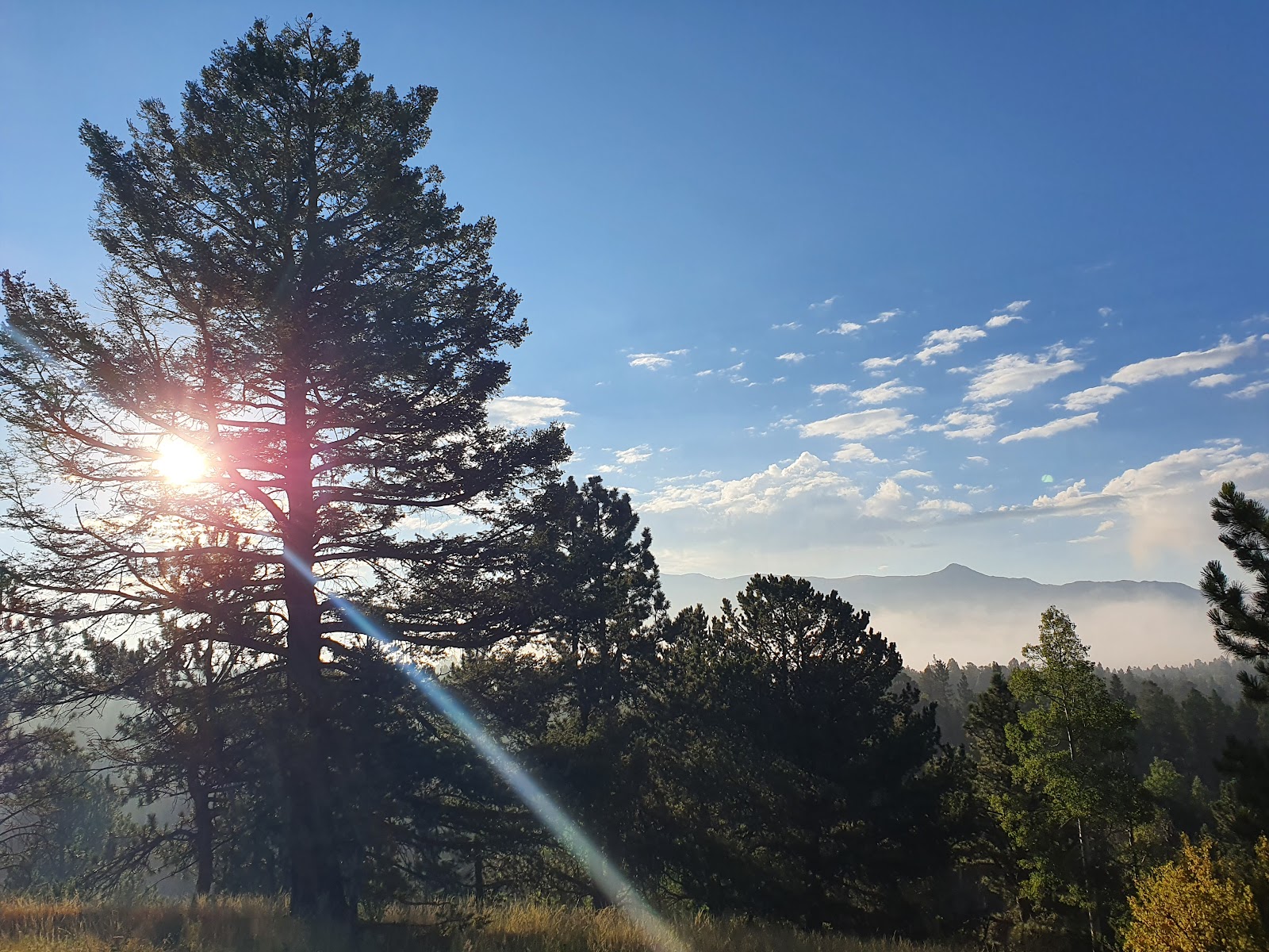 Pisgah Point Campground