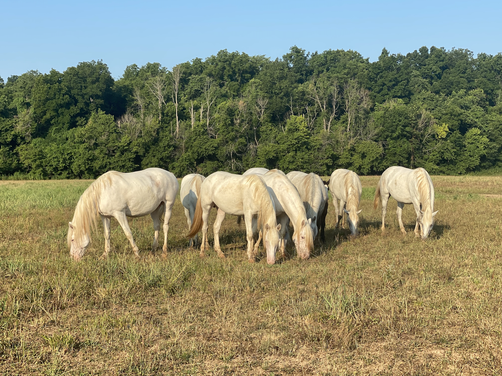 Shawnee Creek Campground