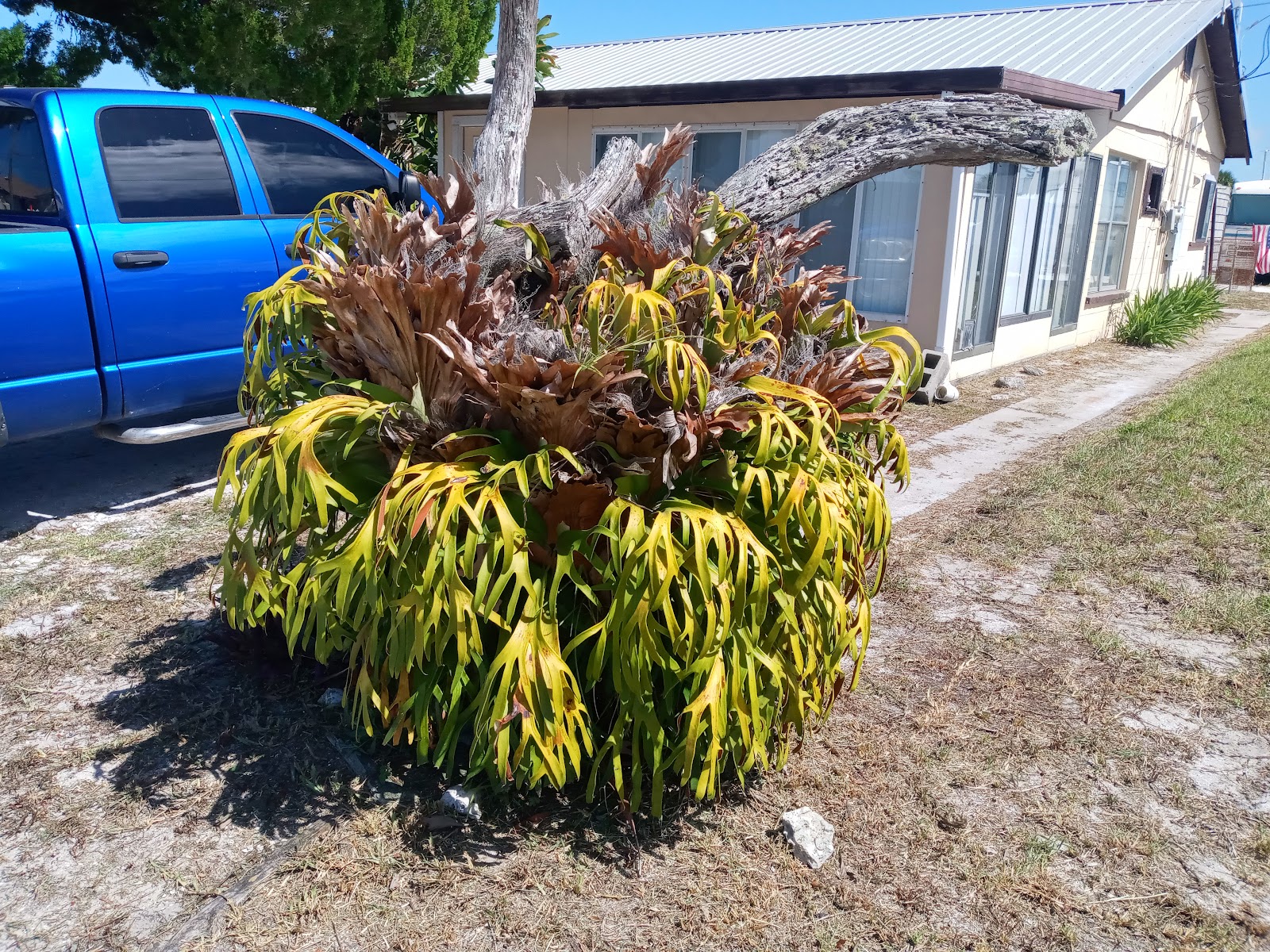 Lopez RV Park & Marina