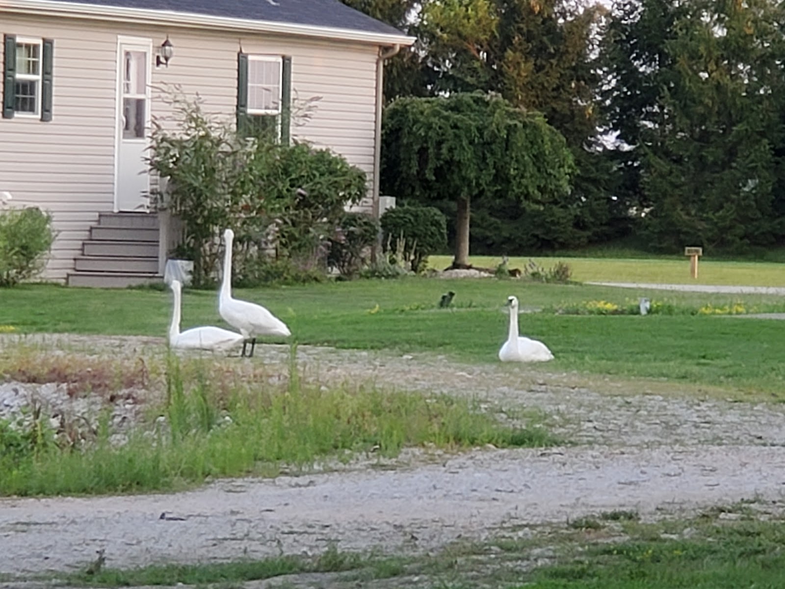 Wild Wings Marina & RV Park