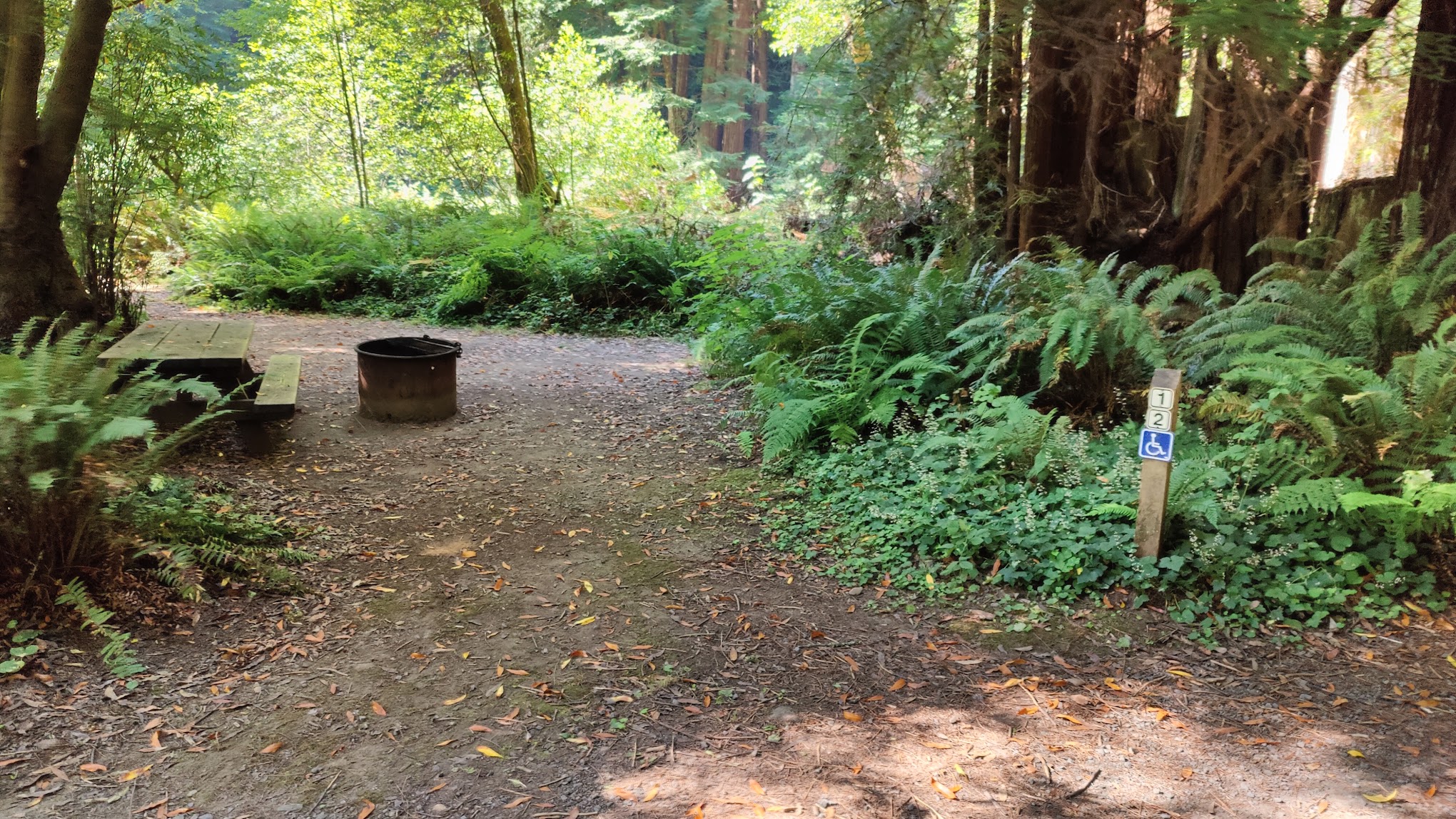 Pomo Canyon Environmental Camp