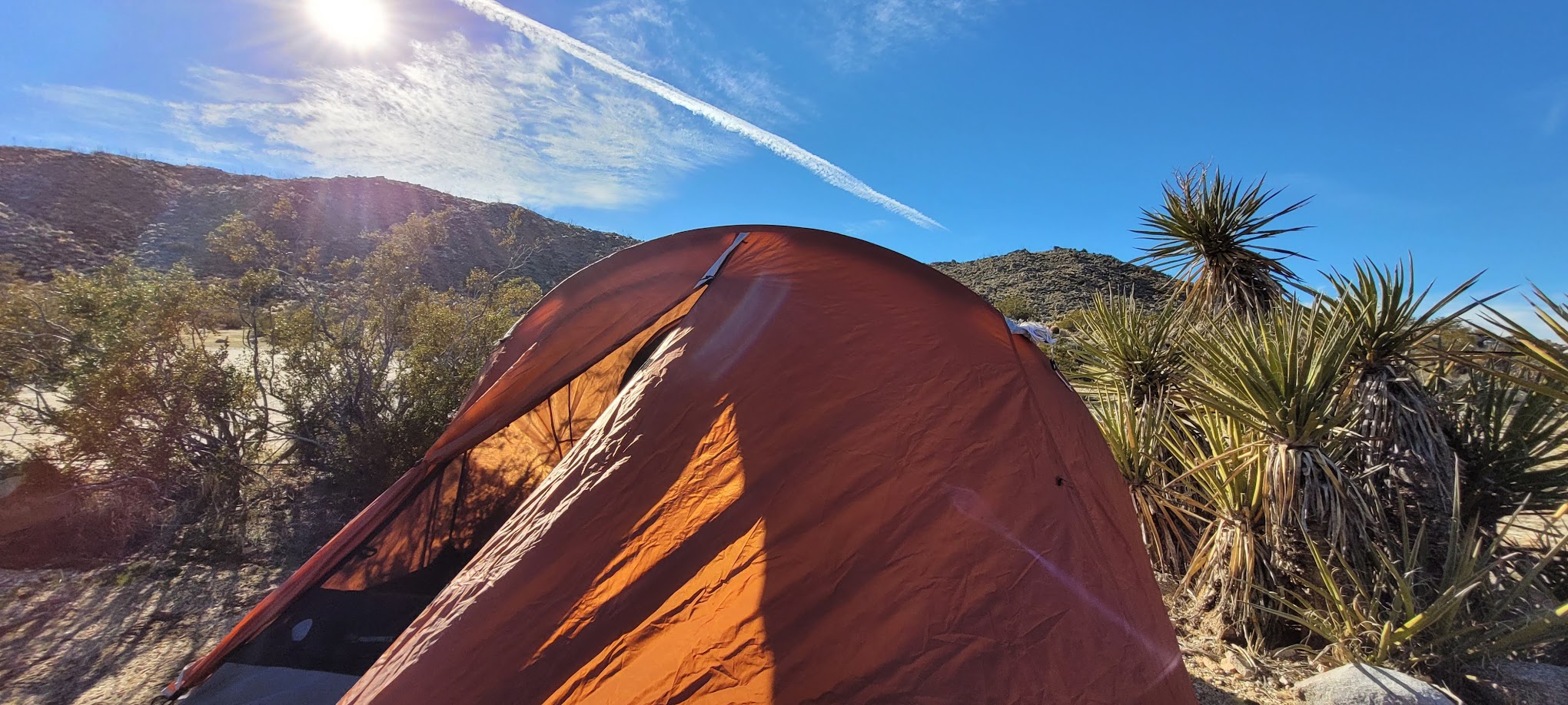 Blair Valley Campground
