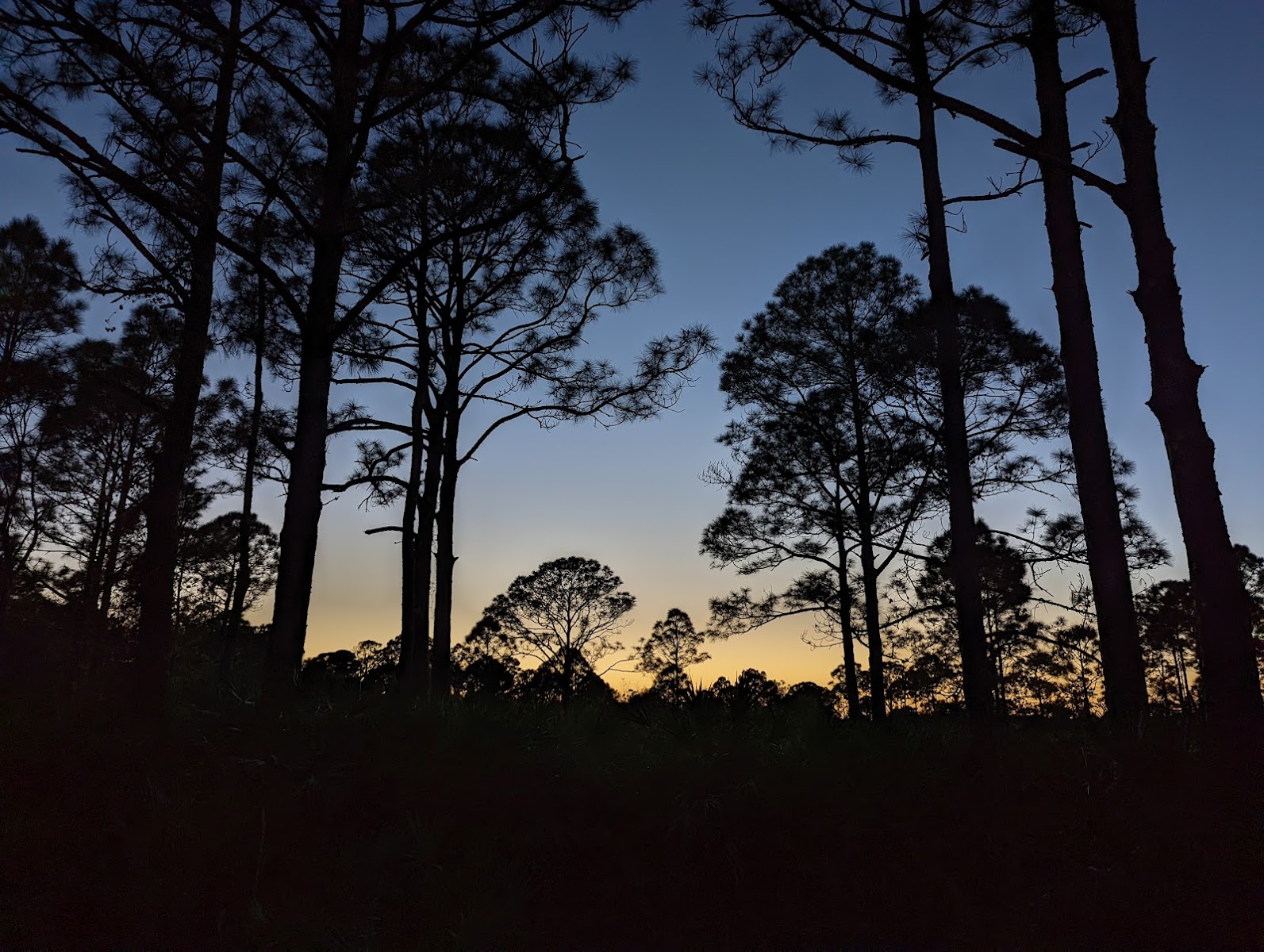 FLYING A CAMPGROUND, SITE 1