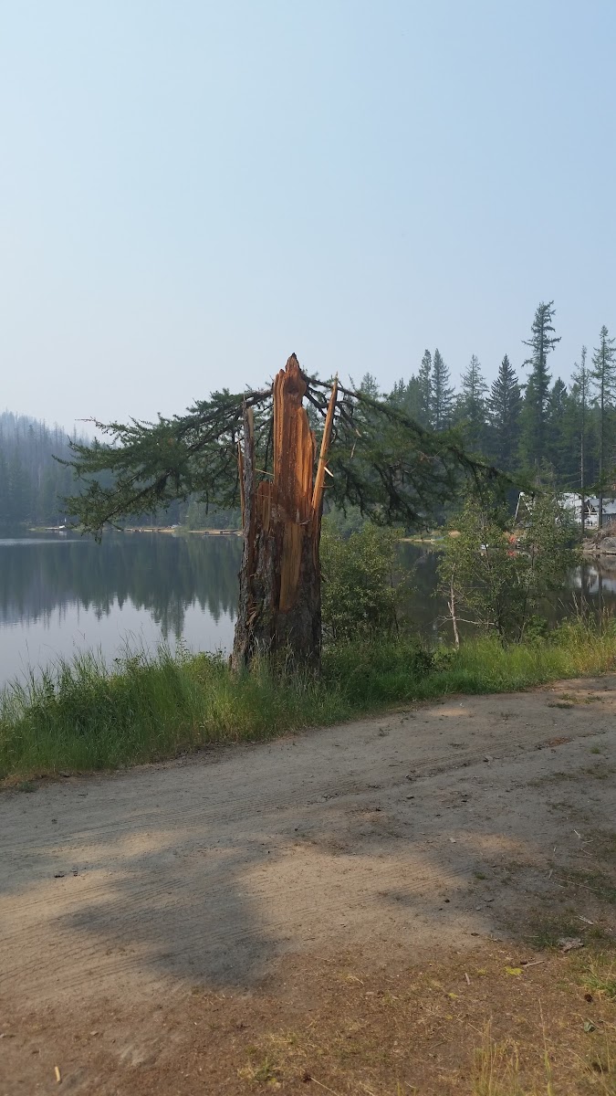 Crawfish Lake Campground