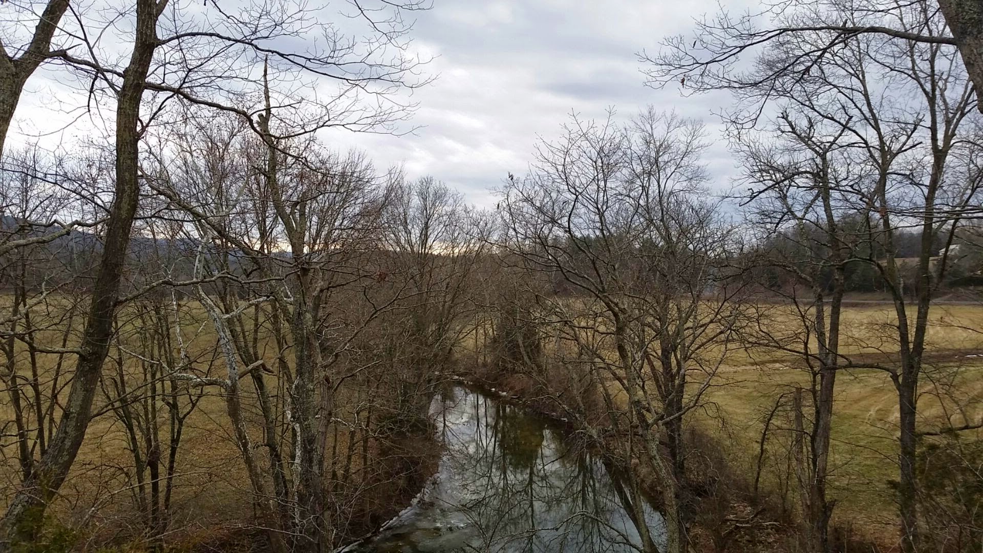 US Forestry Department