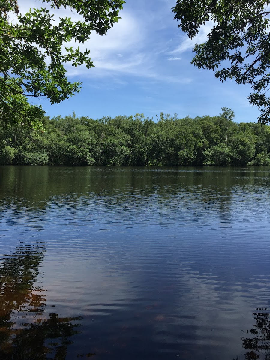 Wood Lake Recreation Area/Campground