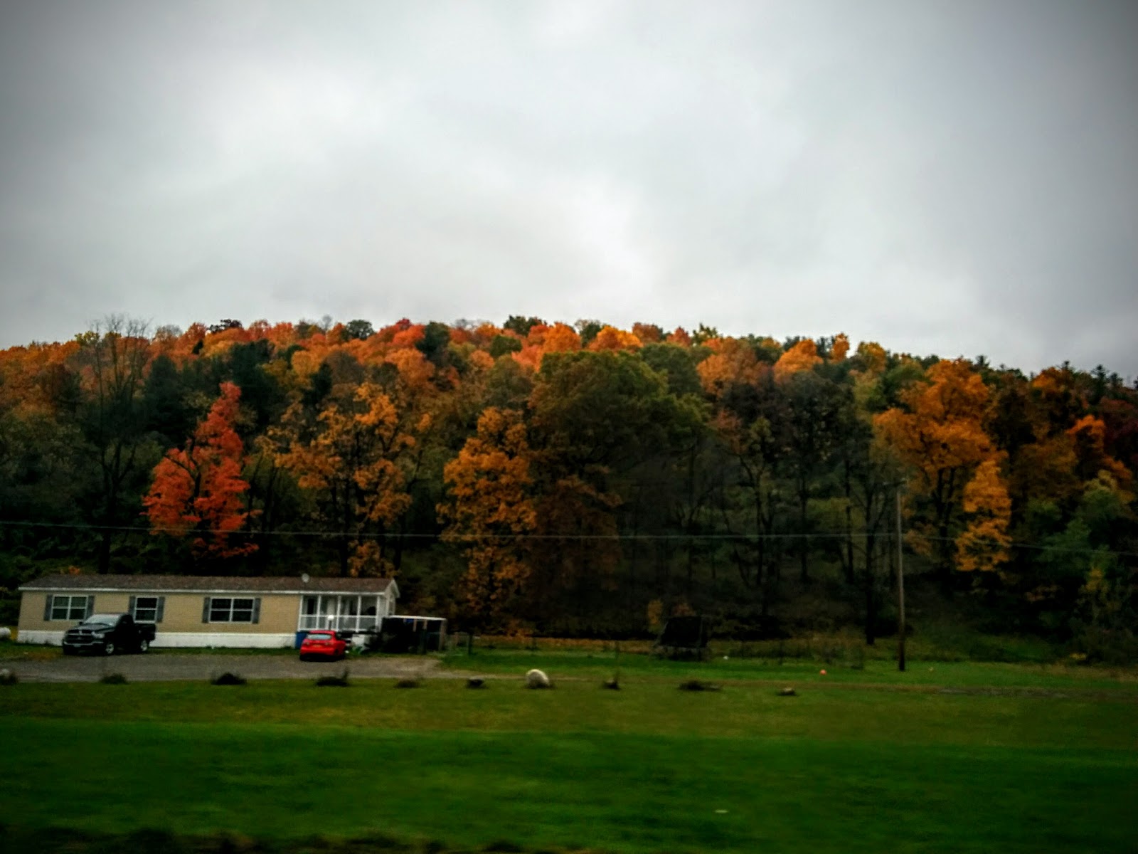 Meadows Park Trailer Park