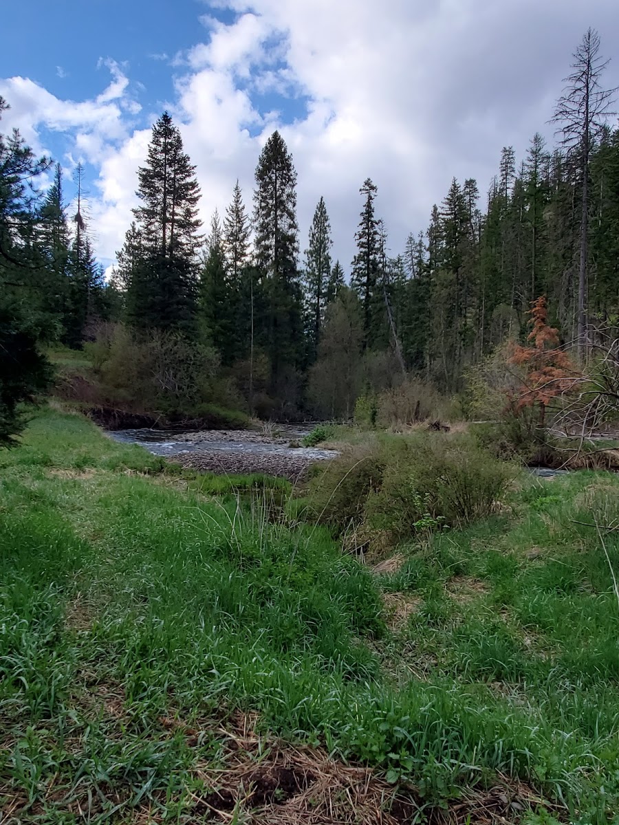 Stockade Spring Campground