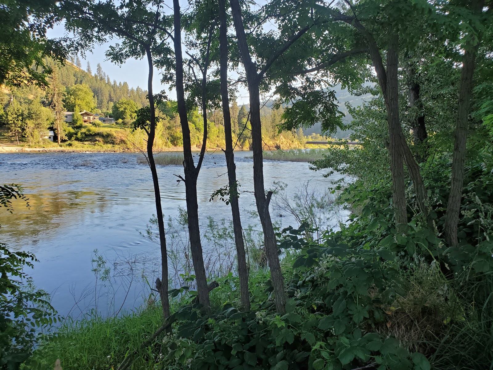 River Junction RV Park and Campground