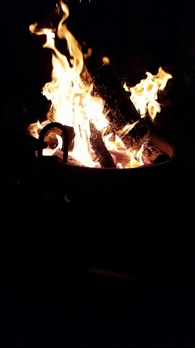 Pintler Campground and Picnic Area