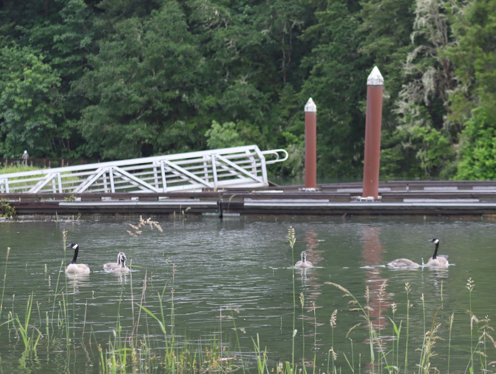 Baker Bay Campgrounds & Marina