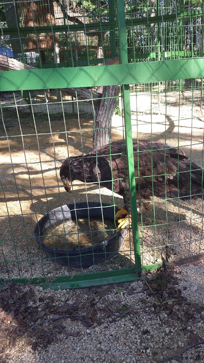 Buchanan County Conservation