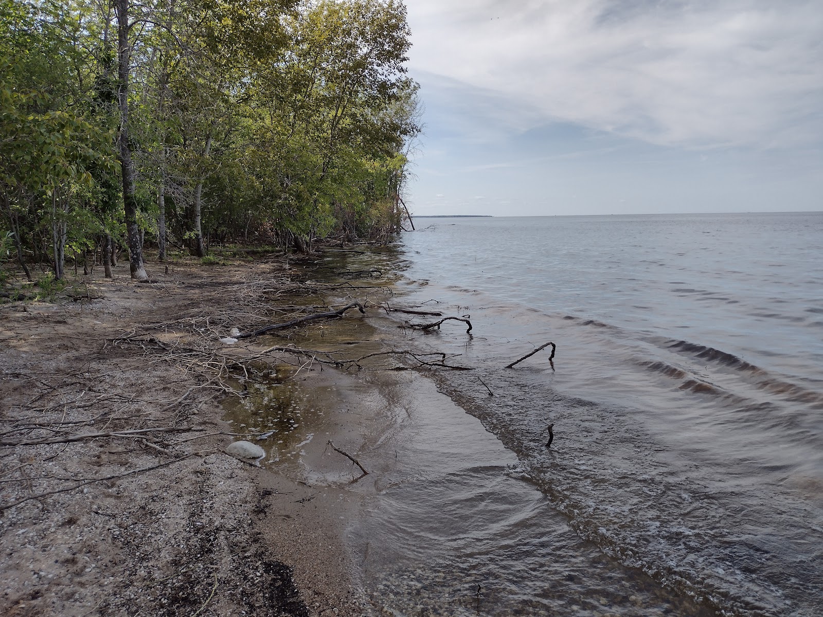 Lady's Slipper Campground