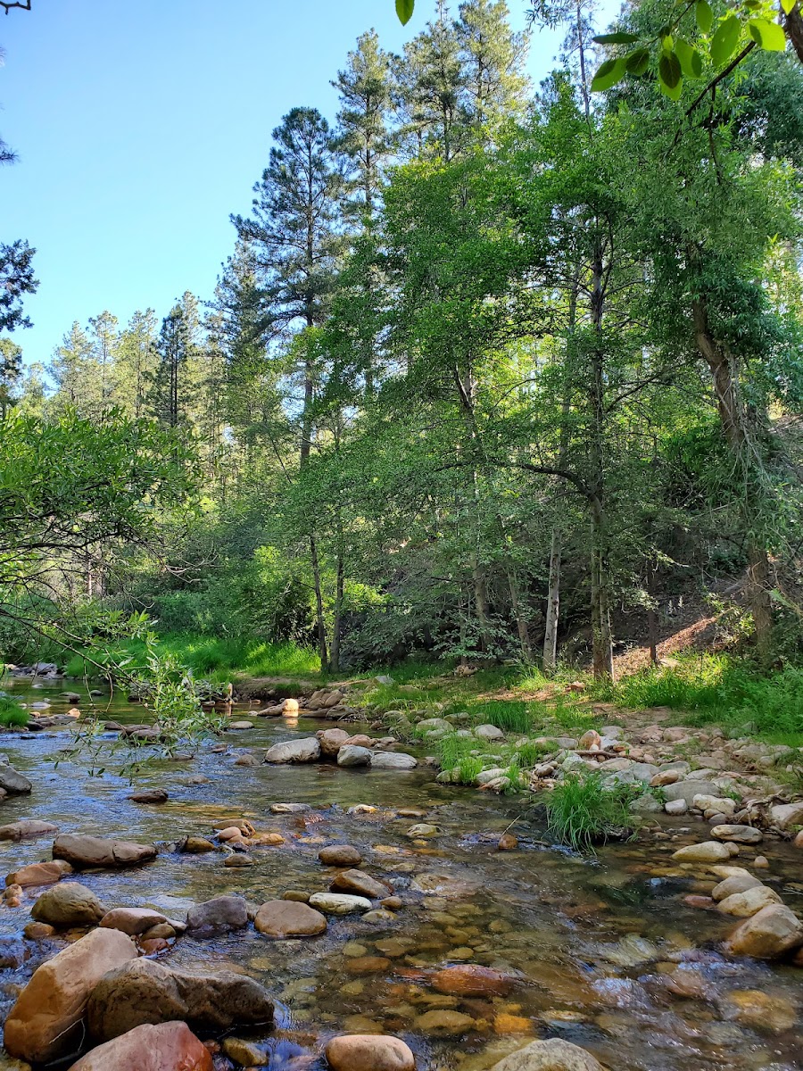 Lower Tonto Creek Campground