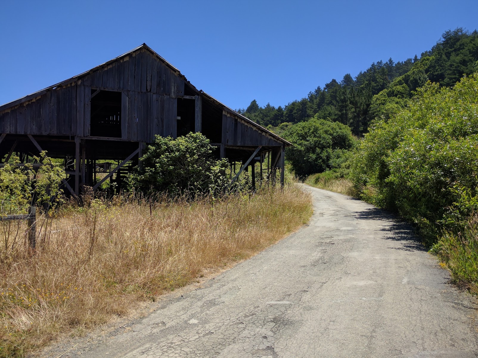 Willow Creek Environmental Campground