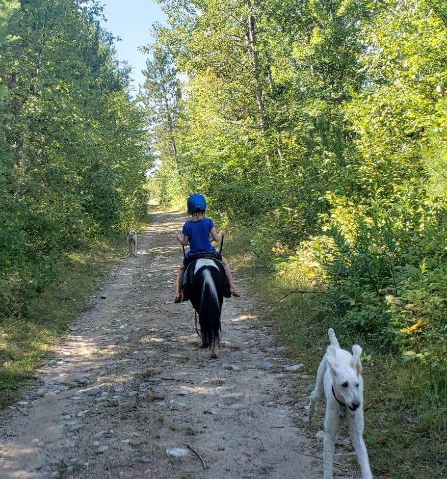 Stony Brook Horse Campground