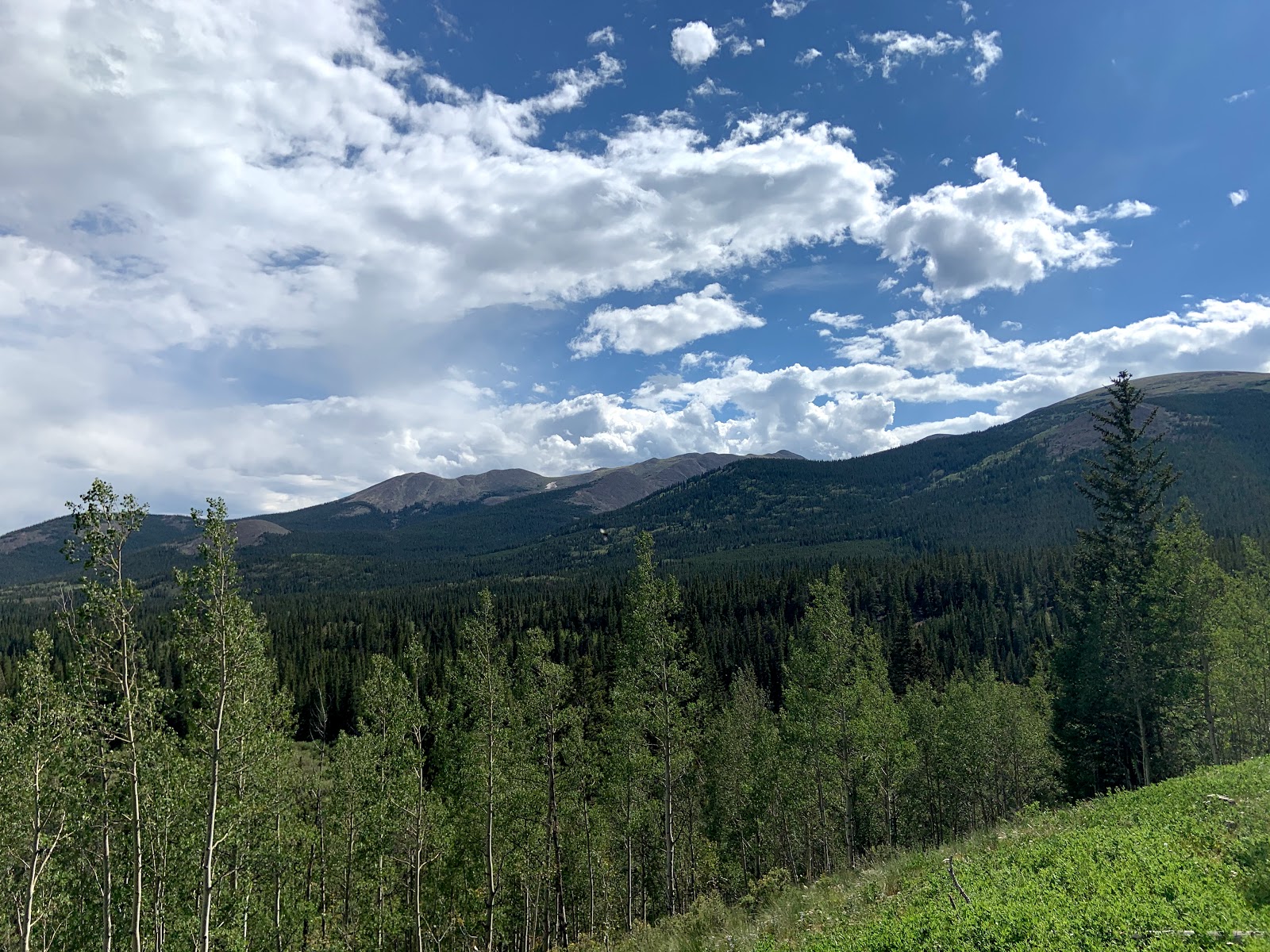 Michigan Creek Campground