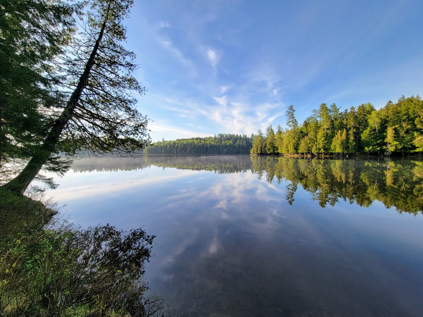 Saranac Lake Islands Campground - Campsite #44