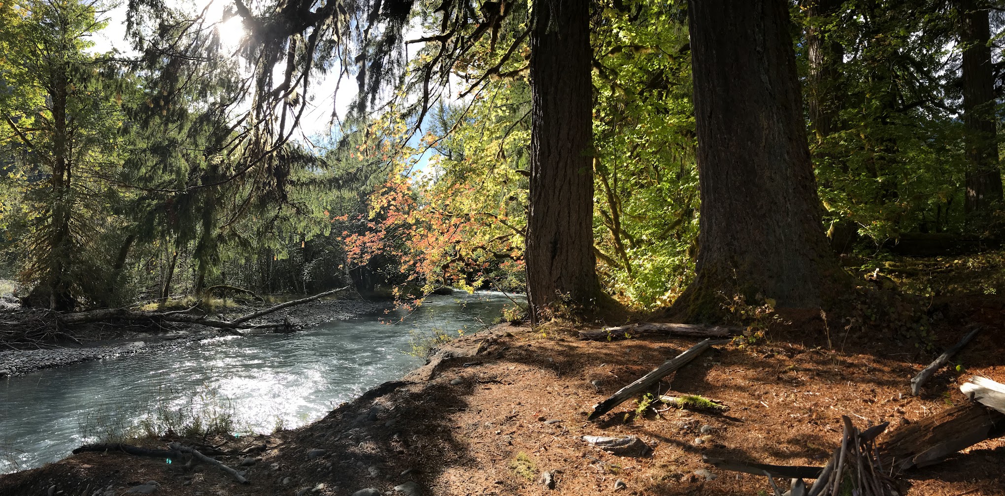Lewis Meadow Campsite