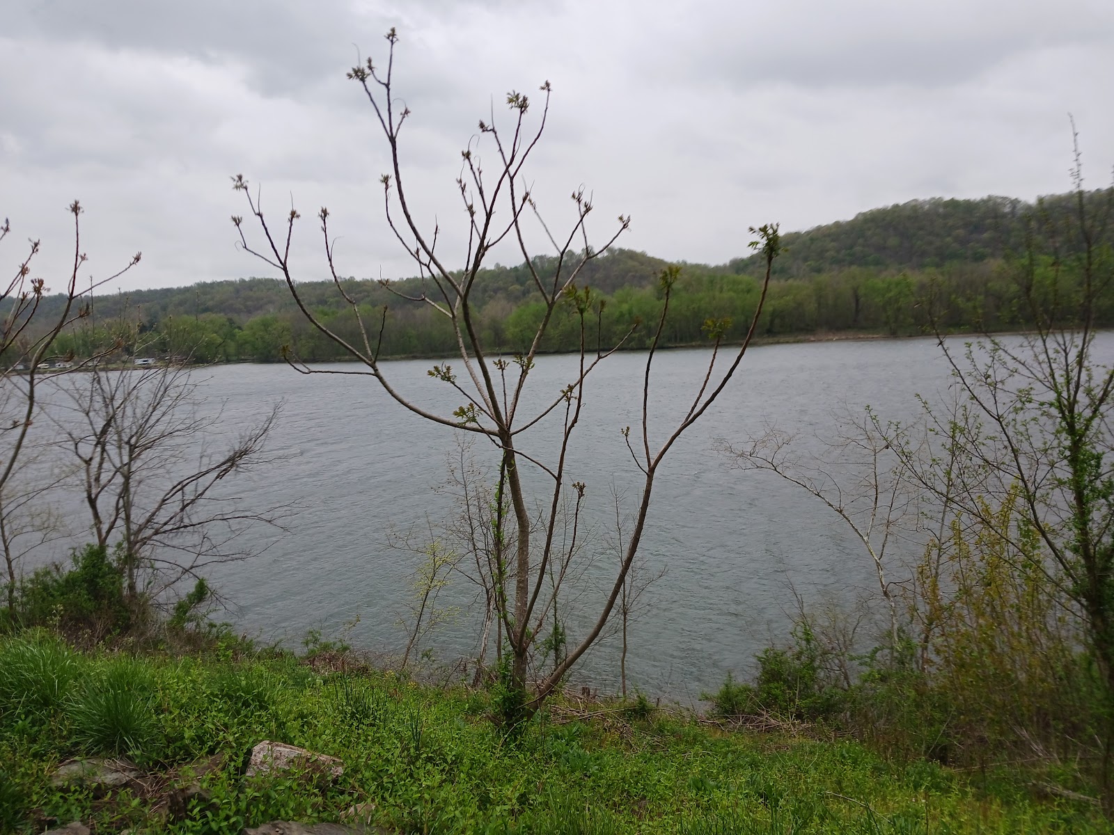 Socks Campground LLC