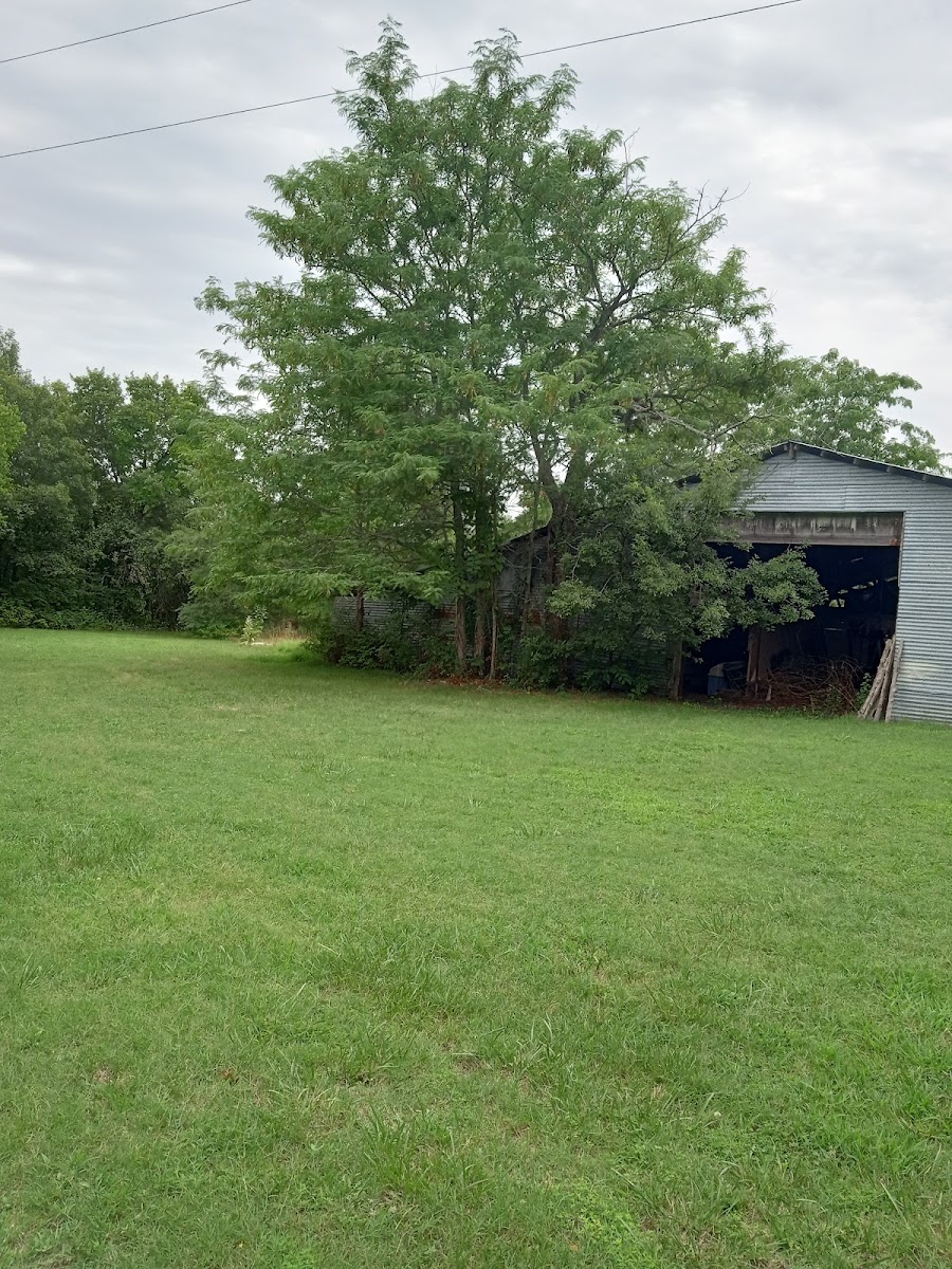 Couture property and group