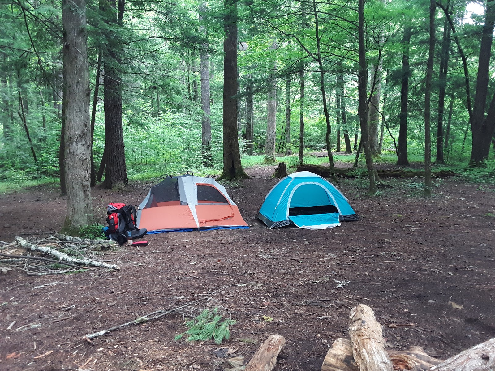 Backcountry Campsite #17