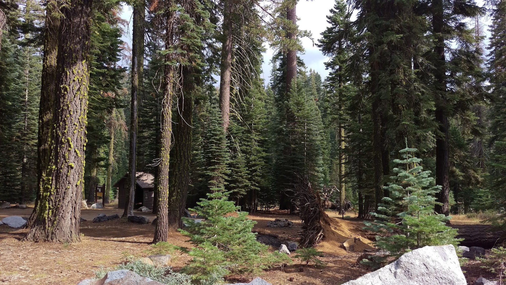 Cole Creek Campground