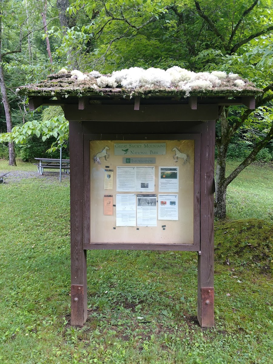 Tow String Horse Camp