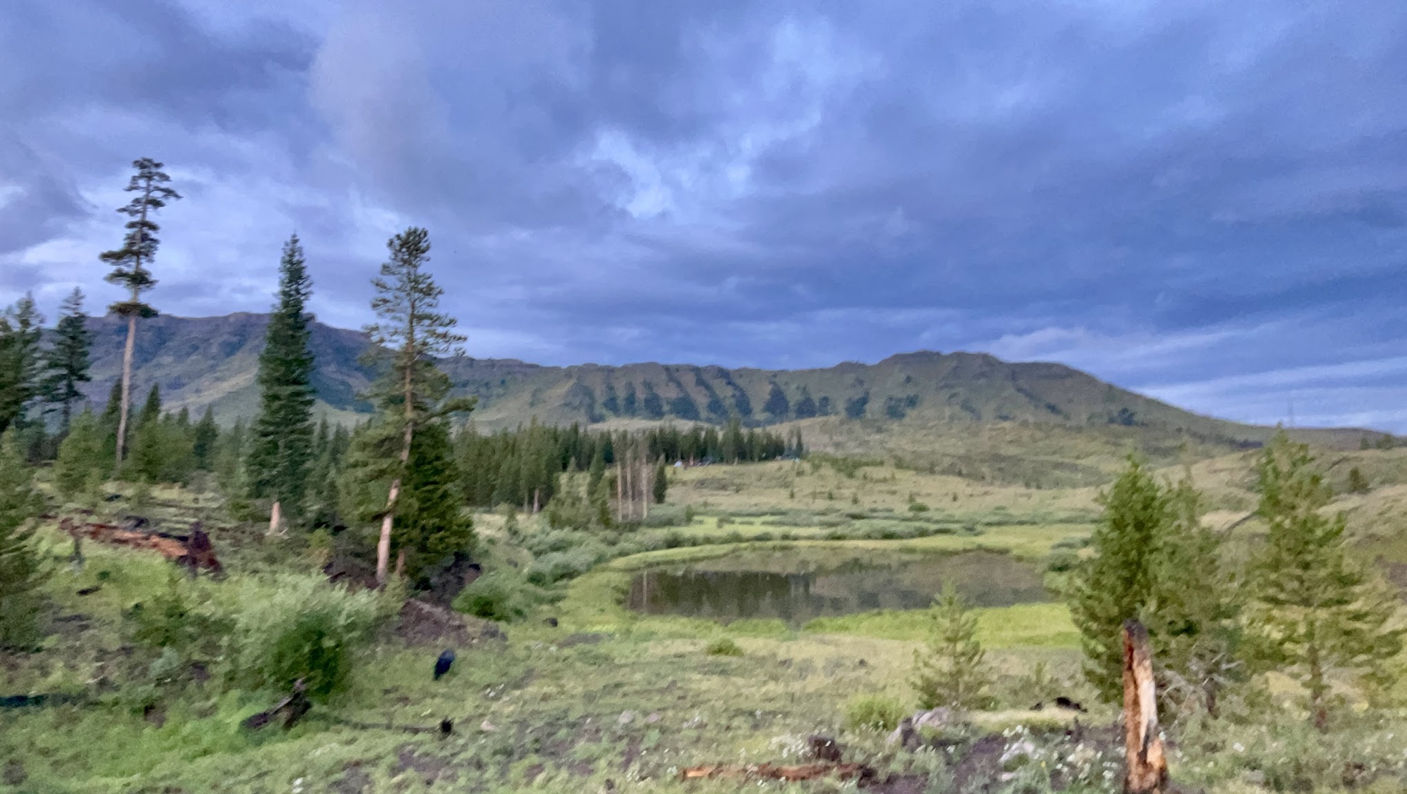 Trappers Lake / Horse Thief Campground