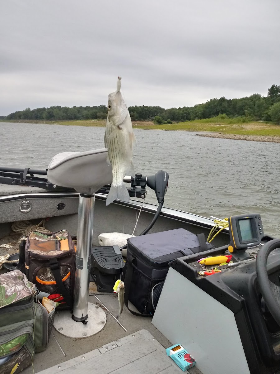 North Overlook Campground