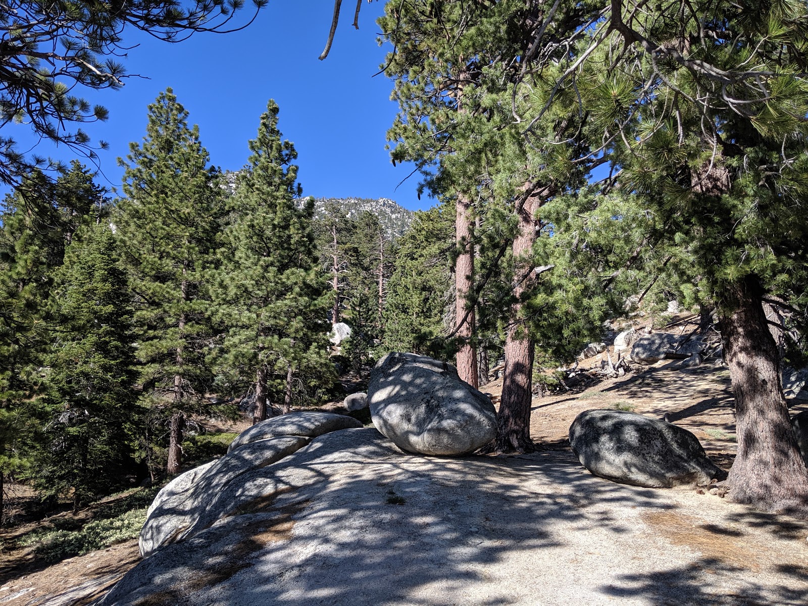 Strawberry Junction Campground