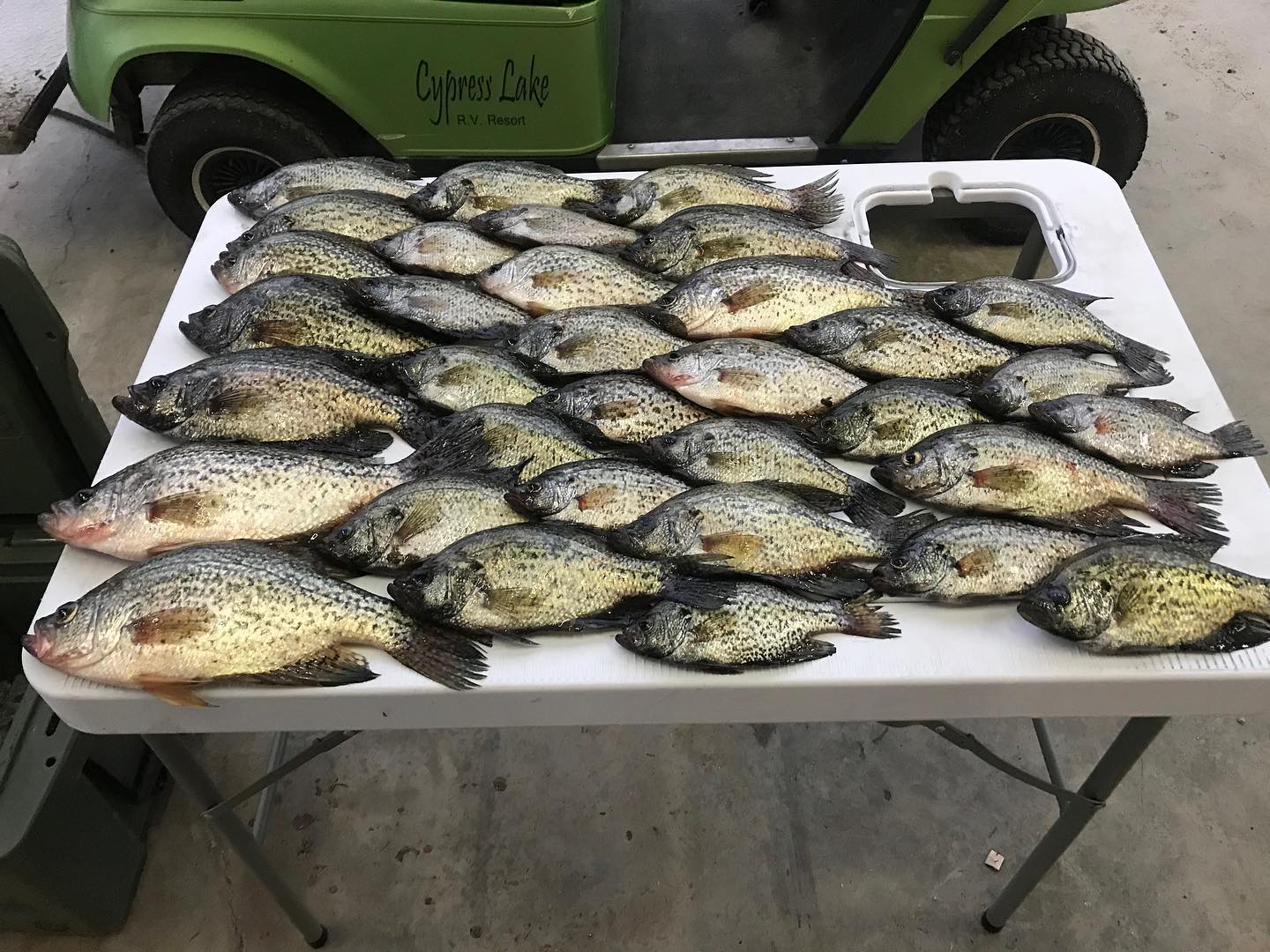 Lake Wallace RV Park