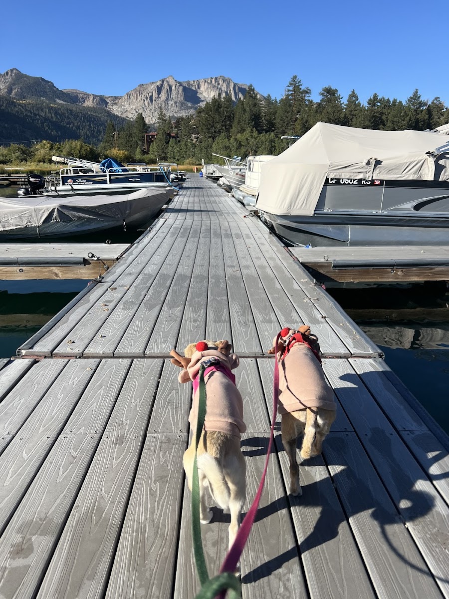 June Lake Campground