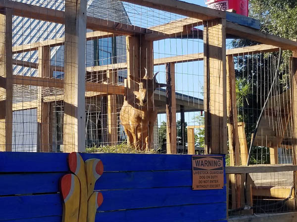 Fabulous Bok Vegas Texas