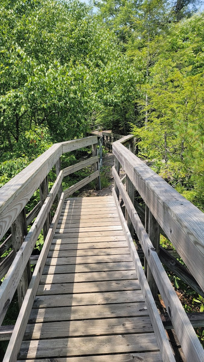 Backbone Rock Campground