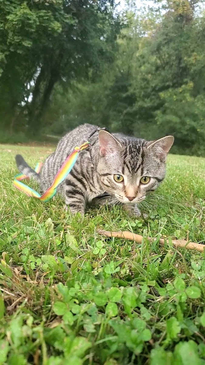 Oil city marina campsite