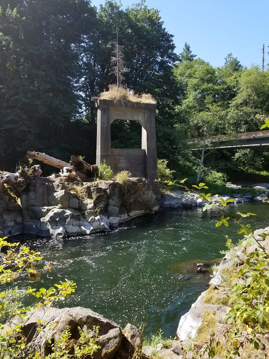 Trask River County Campground